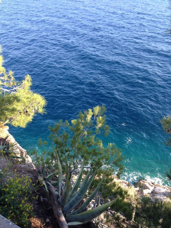 Apartment Dalmatien Traumhaus Makarska Exteriör bild